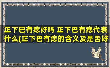 正下巴有痣好吗 正下巴有痣代表什么(正下巴有痣的含义及是否好的评价，建议和注意事项)